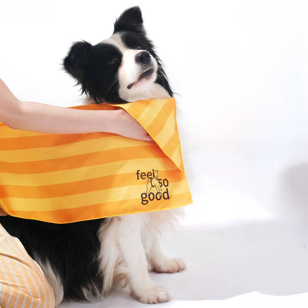 Serviette de voyage ultra absorbante et légère pour chien à séchage rapide