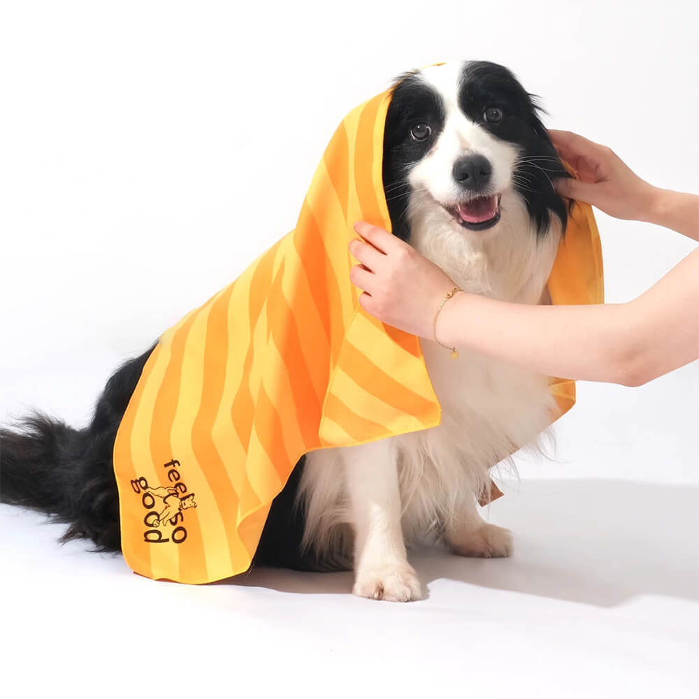 Serviette de voyage ultra absorbante et légère pour chien à séchage rapide