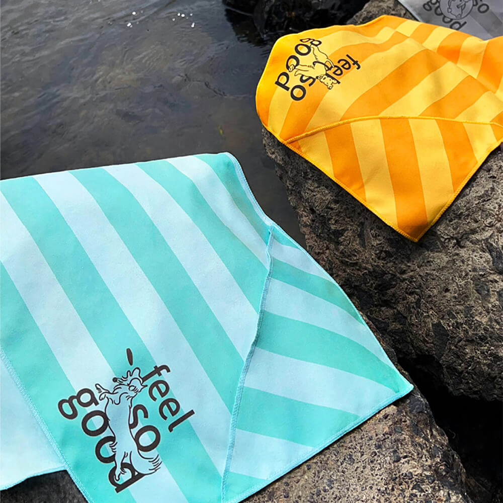 Serviette de voyage ultra absorbante et légère pour chien à séchage rapide