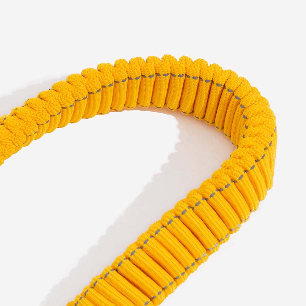 Ceinture de sécurité ajustable pour chien