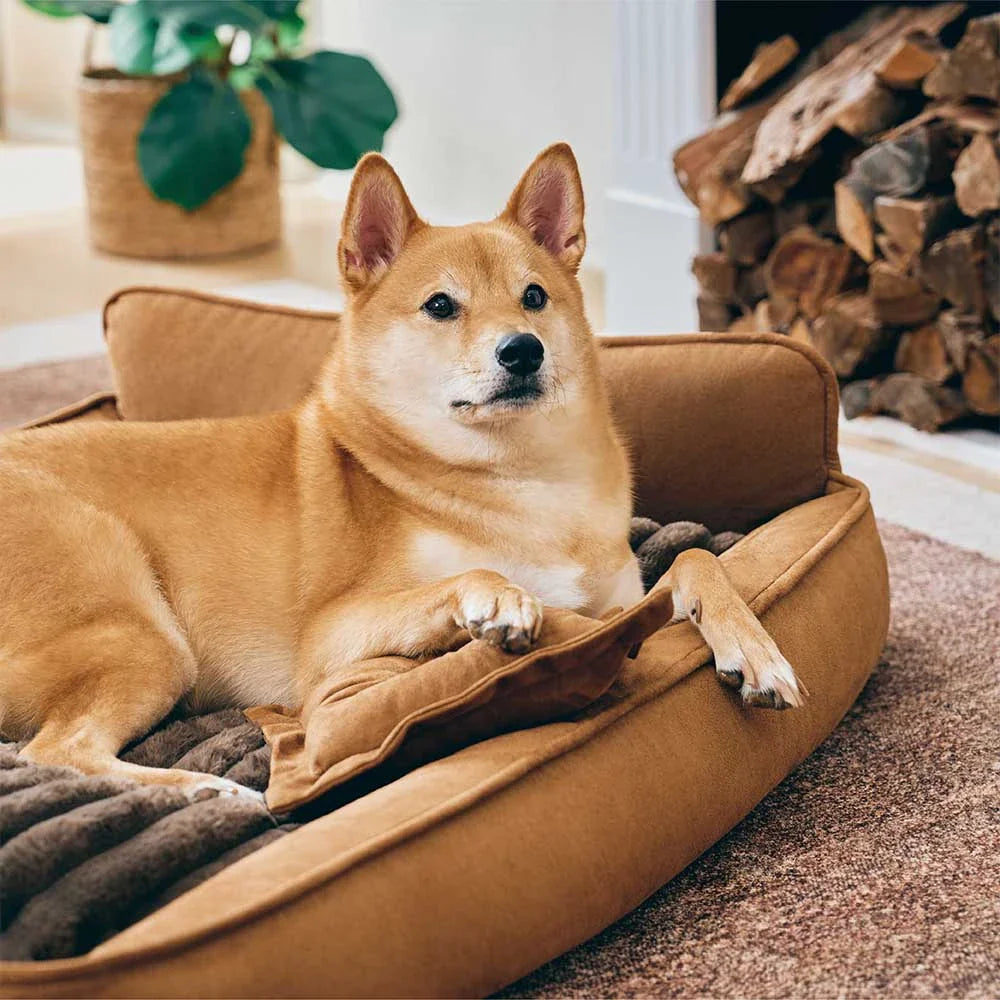 Lit pour chien en mousse rétro en suédine lavable double face avec coussin - SweetDream
