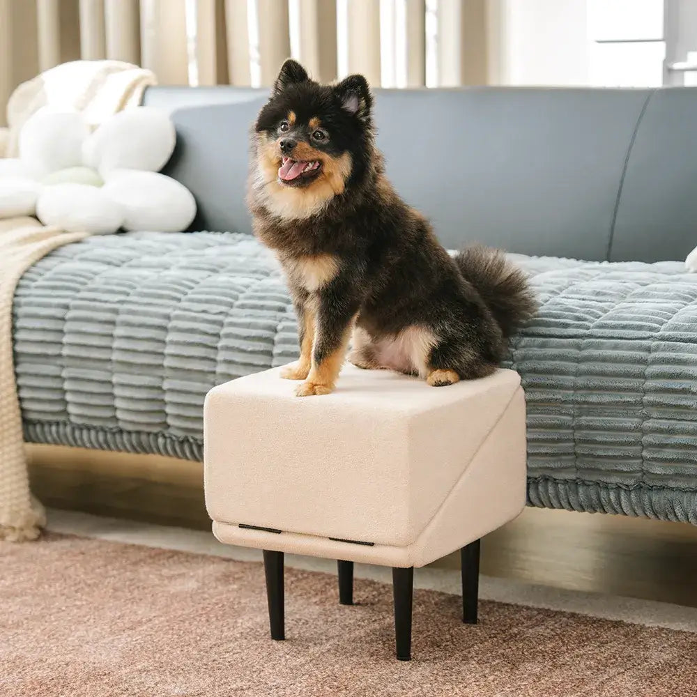 Rampe pour chien 2 en 1 en bois convertible avec marchepied pour la maison