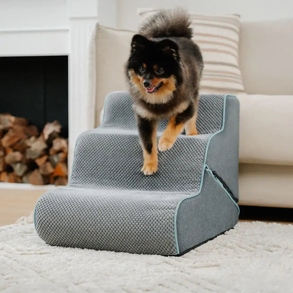 Escaliers pour chien pliables 2 en 1 multifonction avec fonction rampe