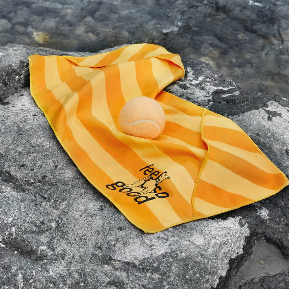 Serviette de voyage ultra absorbante et légère pour chien à séchage rapide