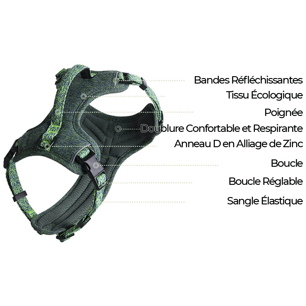Harnais/laisse pour chien anti-traction en tissu recyclé et écologique