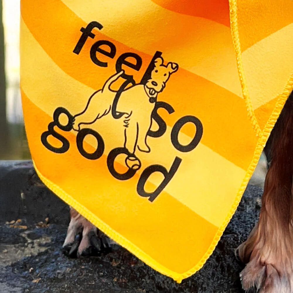 Serviette de voyage ultra absorbante et légère pour chien à séchage rapide