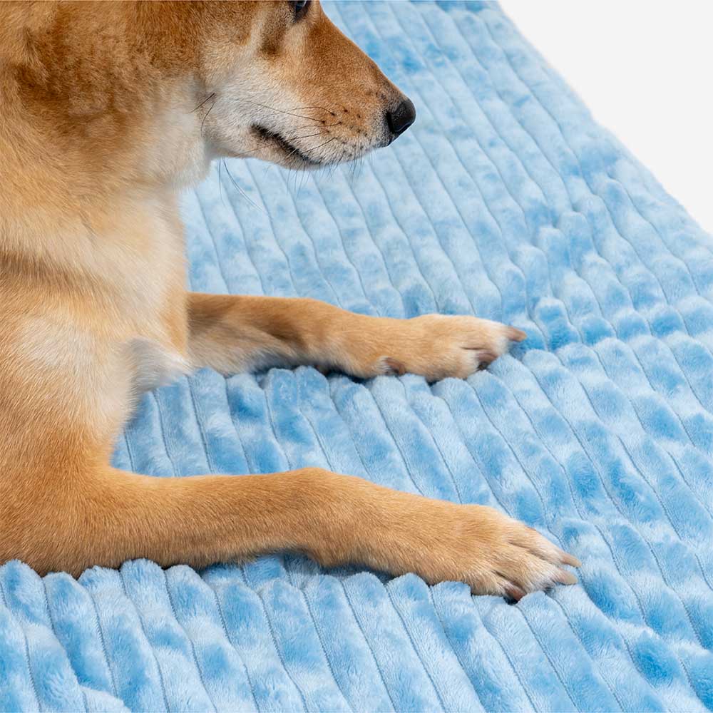 Lit tente orthopédique douillet pour chien style château de jeu intérieur pour enfants - Fairytale Dreamland
