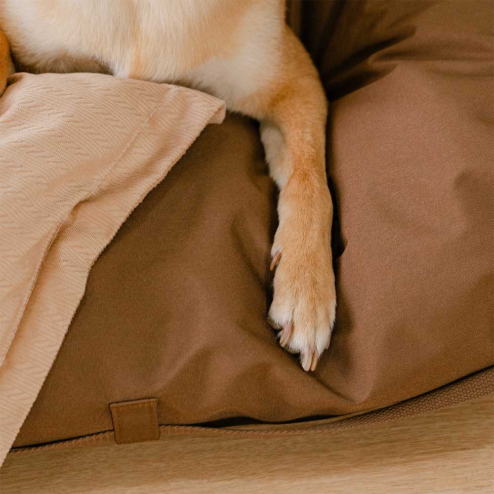 Lit de canapé pliable rayé naturel lavable pour chien - Lounger Mocca