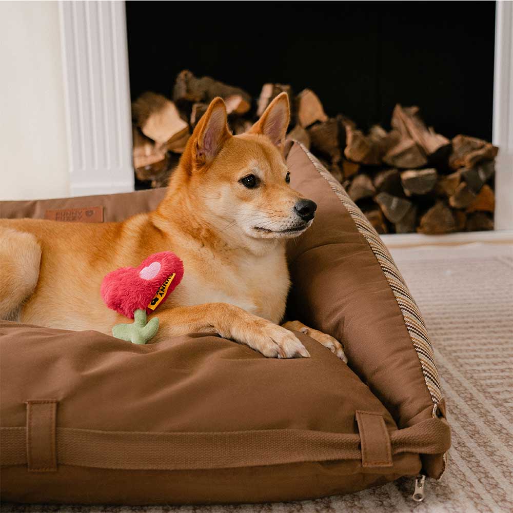 Lit de canapé pliable rayé naturel lavable pour chien - Lounger Mocca