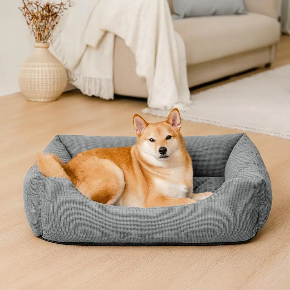 Lit pour chien confortable en velours côtelé détachable résistant aux rayures et respirant