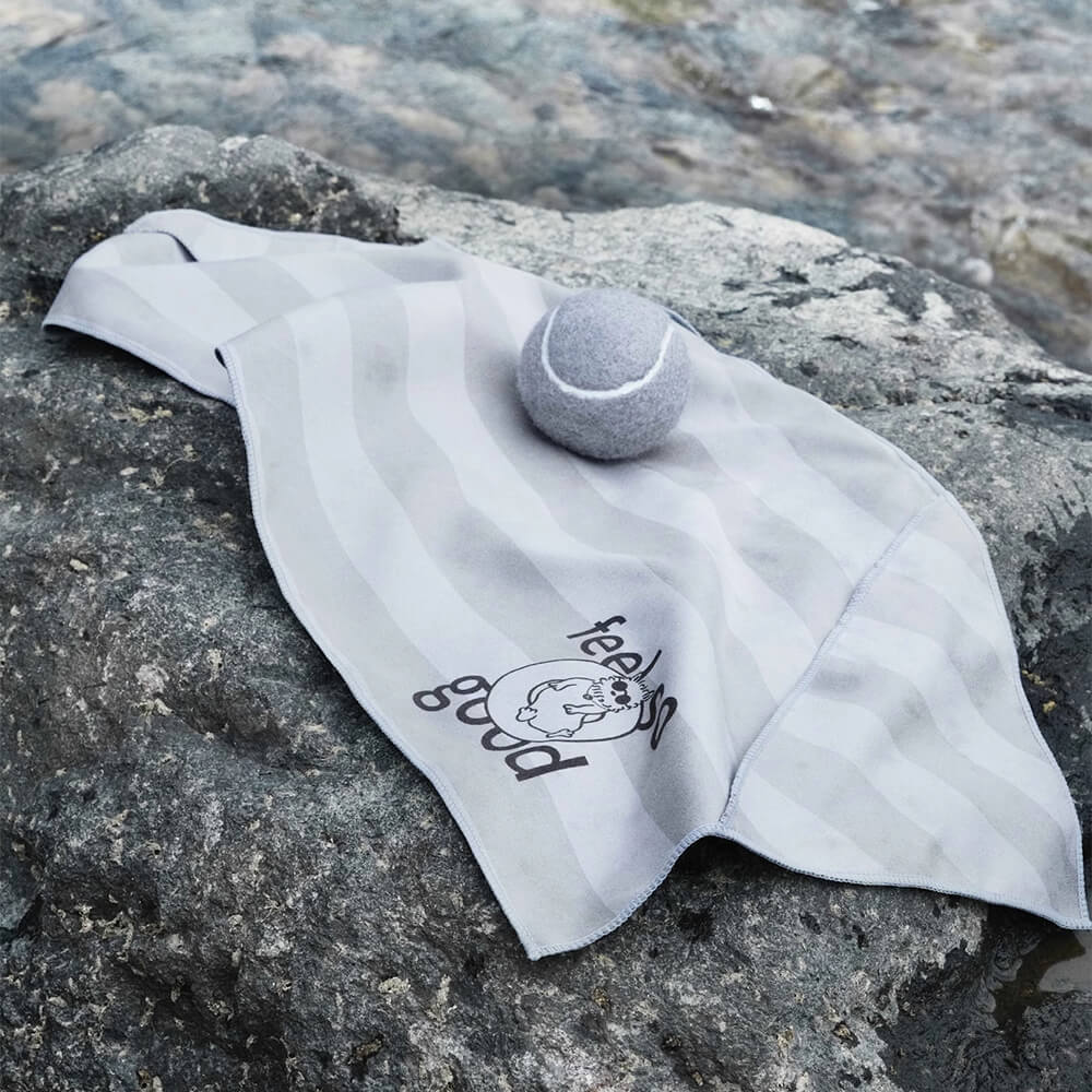 Serviette de voyage ultra absorbante et légère pour chien à séchage rapide