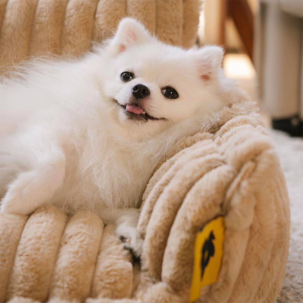 Couverture de lit - Grand oreiller orthopédique lavable et moelleux pour chien