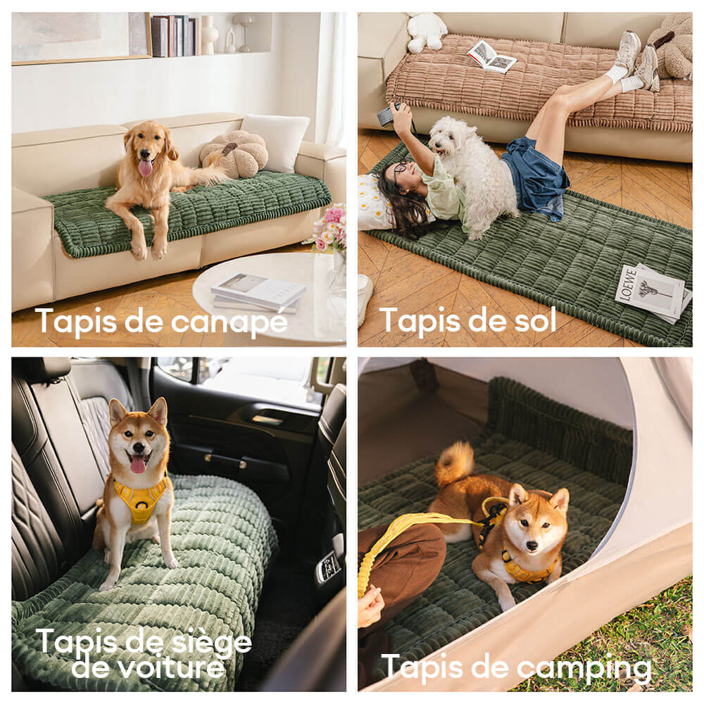 Tapis en flanelle douce et respirante pour animaux avec housse de canapé antidérapante