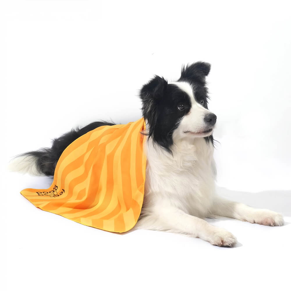 Serviette de voyage ultra absorbante et légère pour chien à séchage rapide
