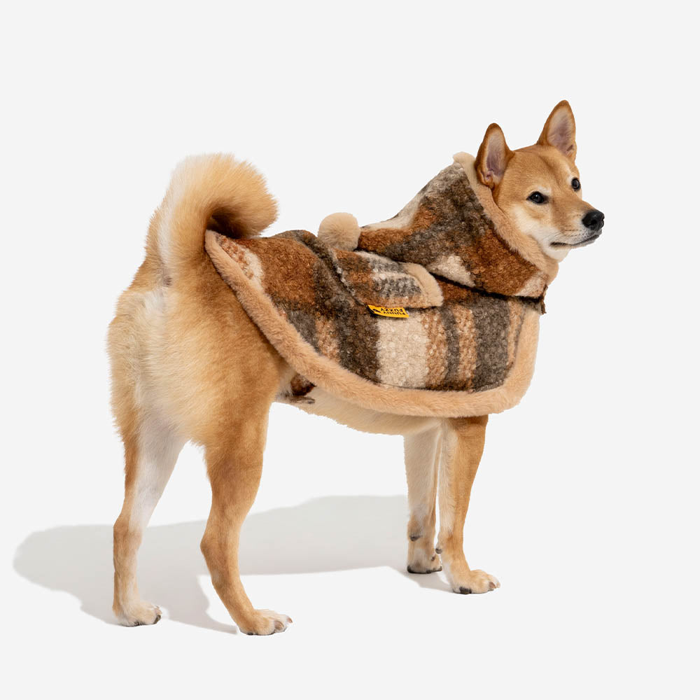 Poncho chaud à carreaux classique pour homme et chien - Compagnons festifs