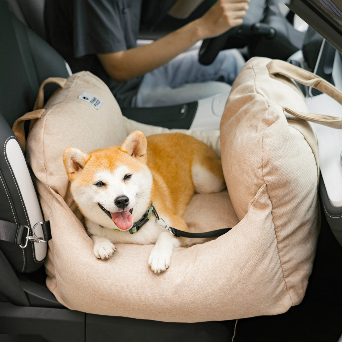 Siège auto pour chien - Première Classe