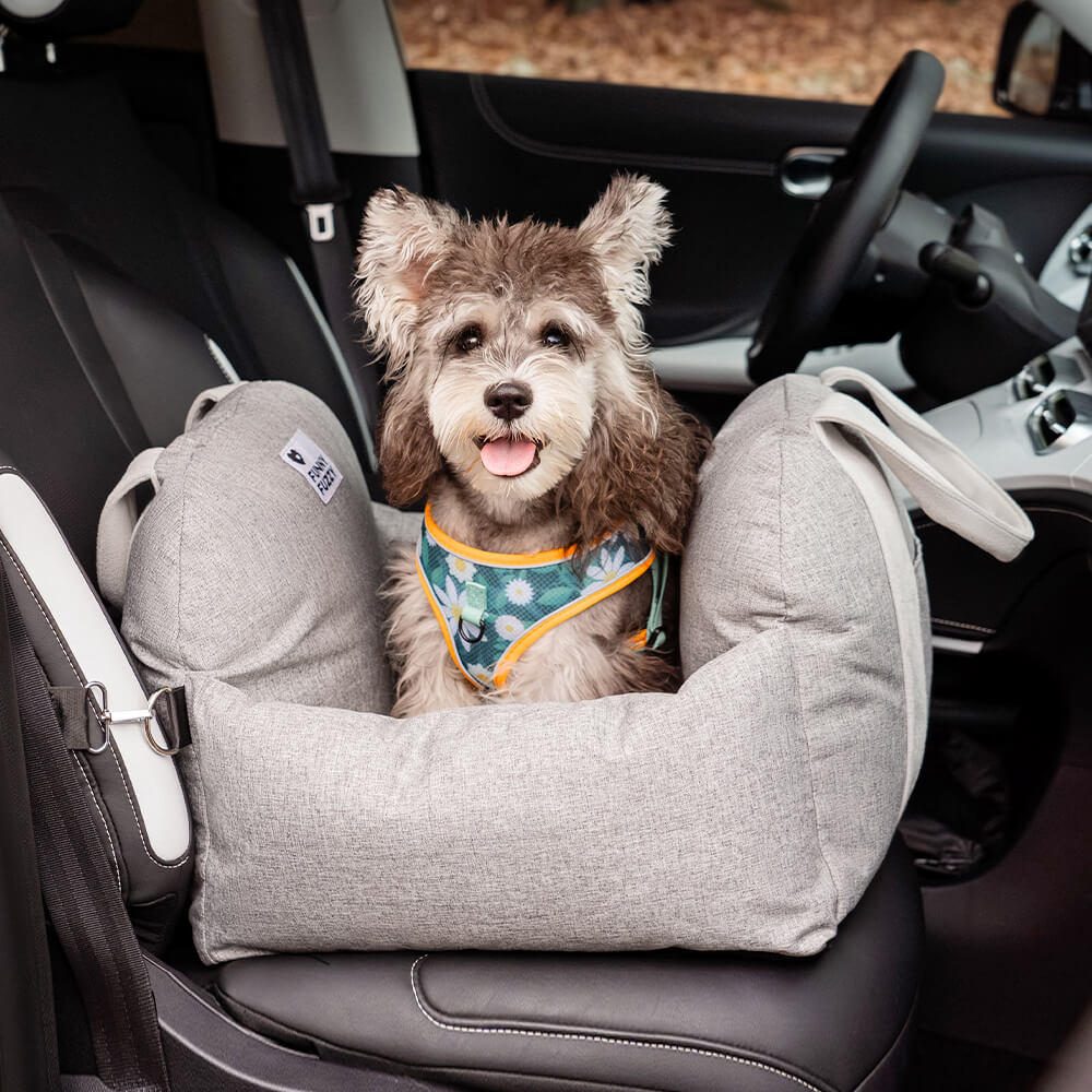 Siège auto pour chien - Première Classe