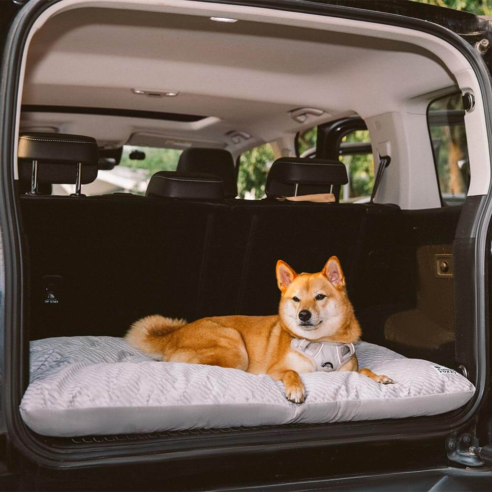 Tapis apaisant double face en peluche lavable pour chien