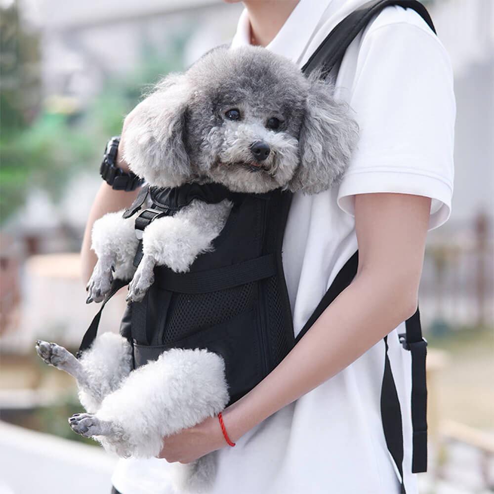 Sac à dos pour chien de voyage avant respirant et ajustable