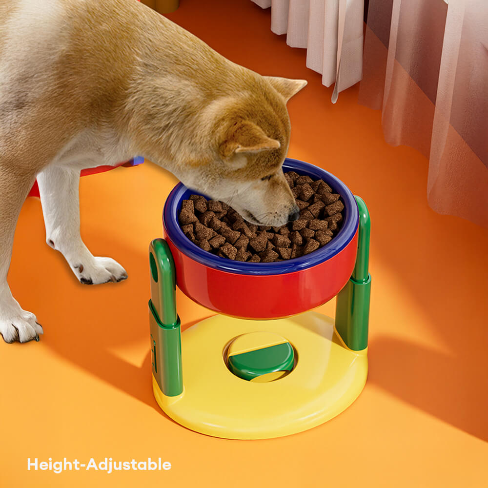 Bol surélevé pour animaux avec protection de cou réglable base antidérapante