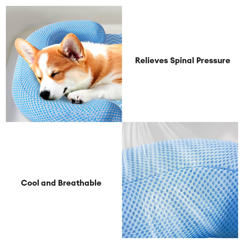 Lit pour chien avec soutien cervical résistant aux rayures imperméable et respirant