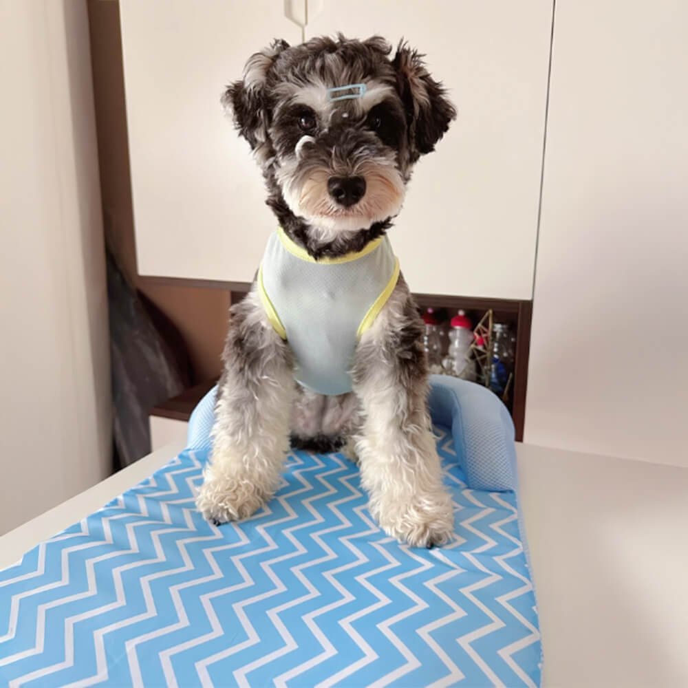 Lit pour chien avec soutien cervical résistant aux rayures imperméable et respirant