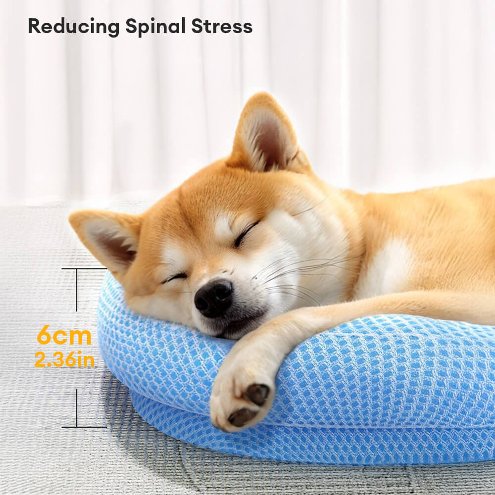 Lit pour chien avec soutien cervical résistant aux rayures imperméable et respirant