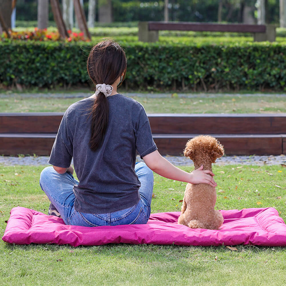 Tapis pour animaux pliable étanche pour voiture et camping extérieur