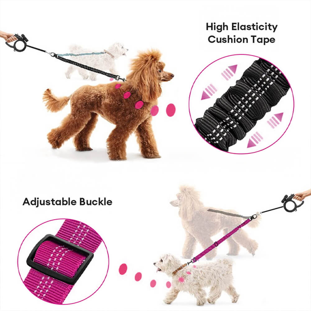 Laisse pour chien à double attache antichoc sans enchevêtrement