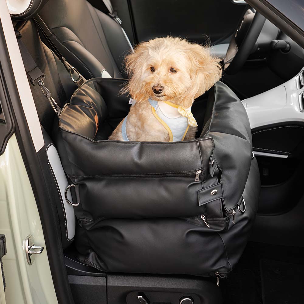 Siège auto pour chien - Première Classe