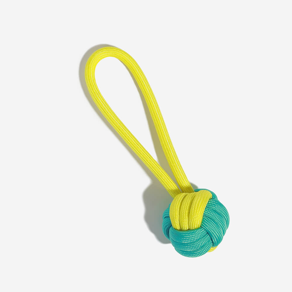 Ensemble de jouets interactifs à mâcher pour chien amusant