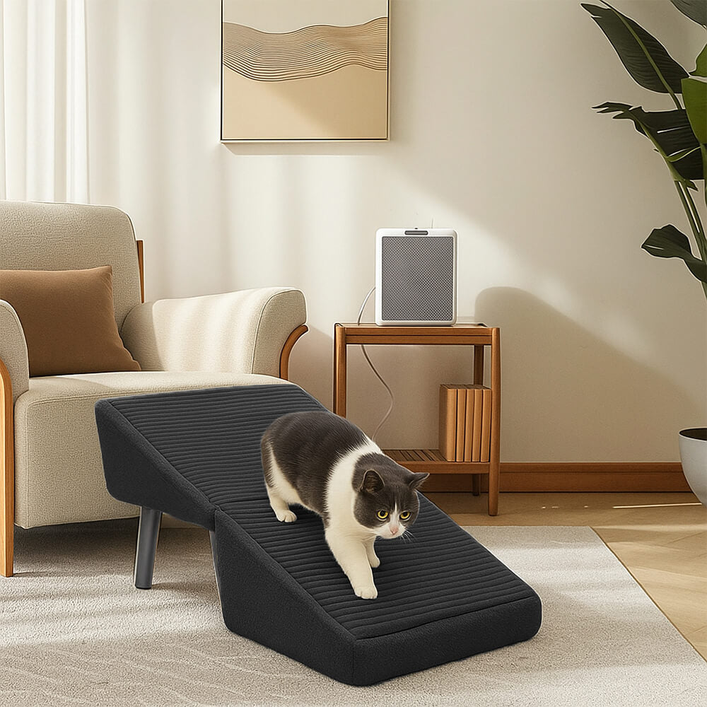 Rampe pour chien 2 en 1 en bois convertible avec marchepied pour la maison