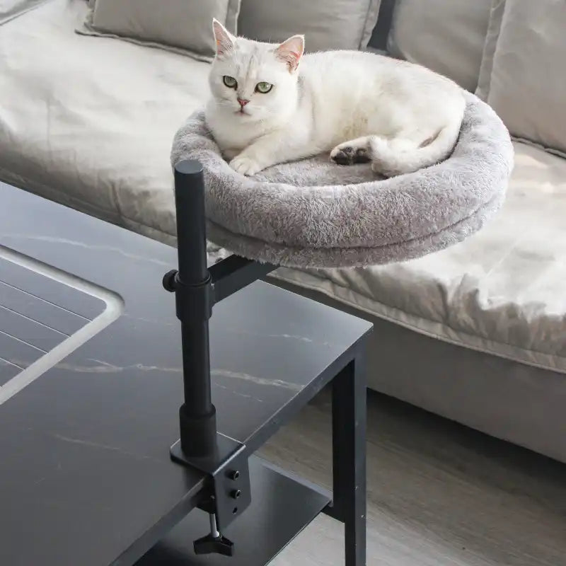 Hamac de bureau pour chat ajustable rotatif avec support en fer