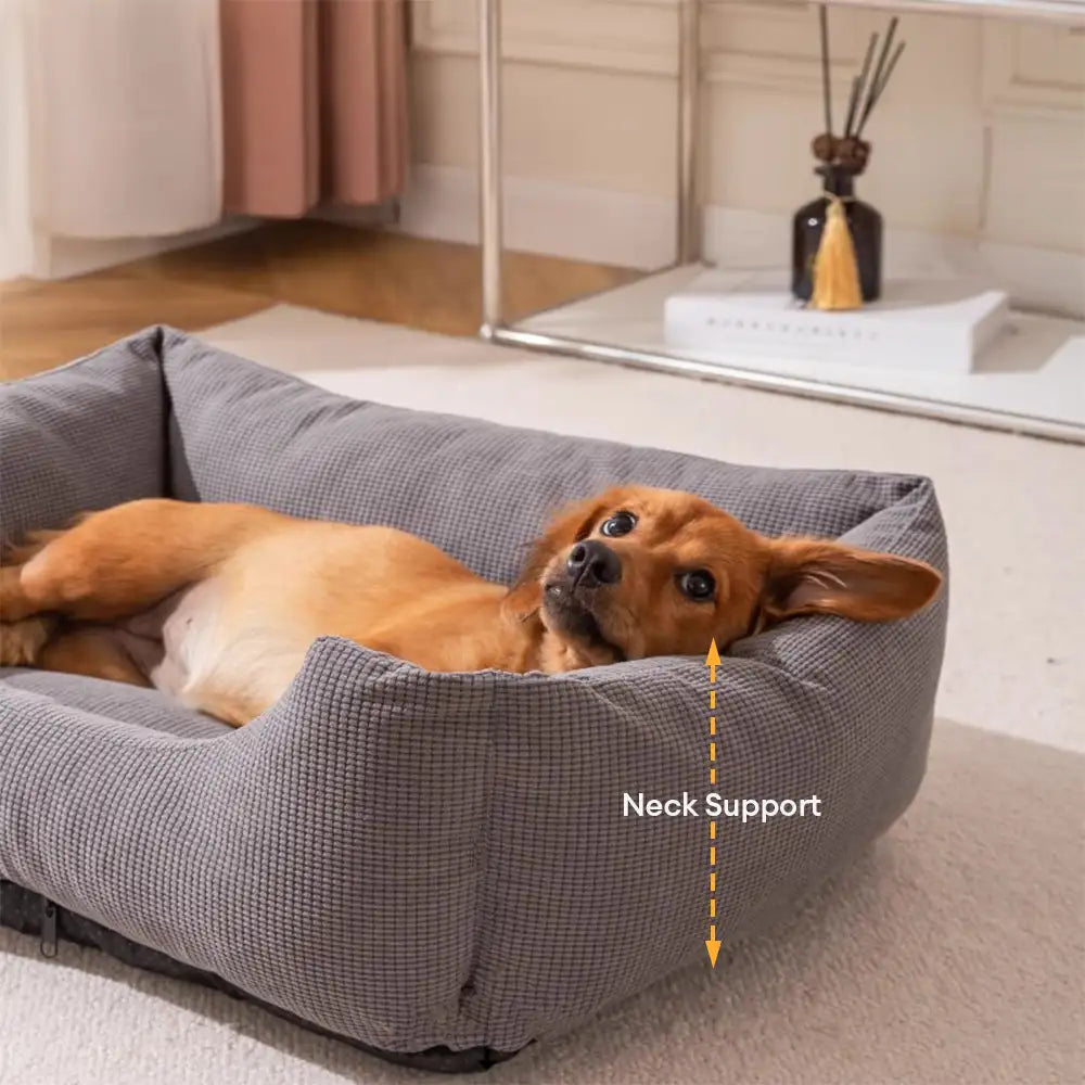 Lit pour chien confortable en velours côtelé détachable résistant aux rayures et respirant