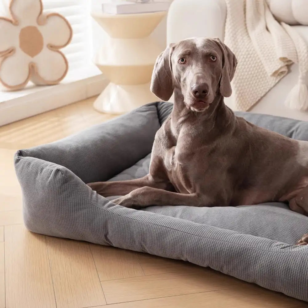 Lit pour chien confortable en velours côtelé détachable résistant aux rayures et respirant