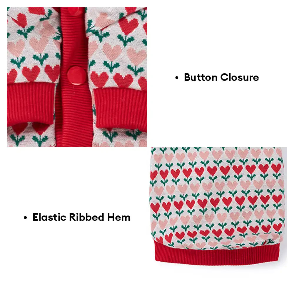 Gilet en laine pour chien avec motif de cœur de Fair Isle pour teckel.