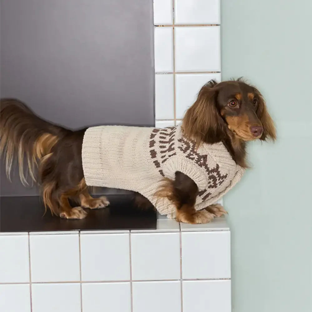 Pull pour chien sans manches en motif Fair Isle pour teckel