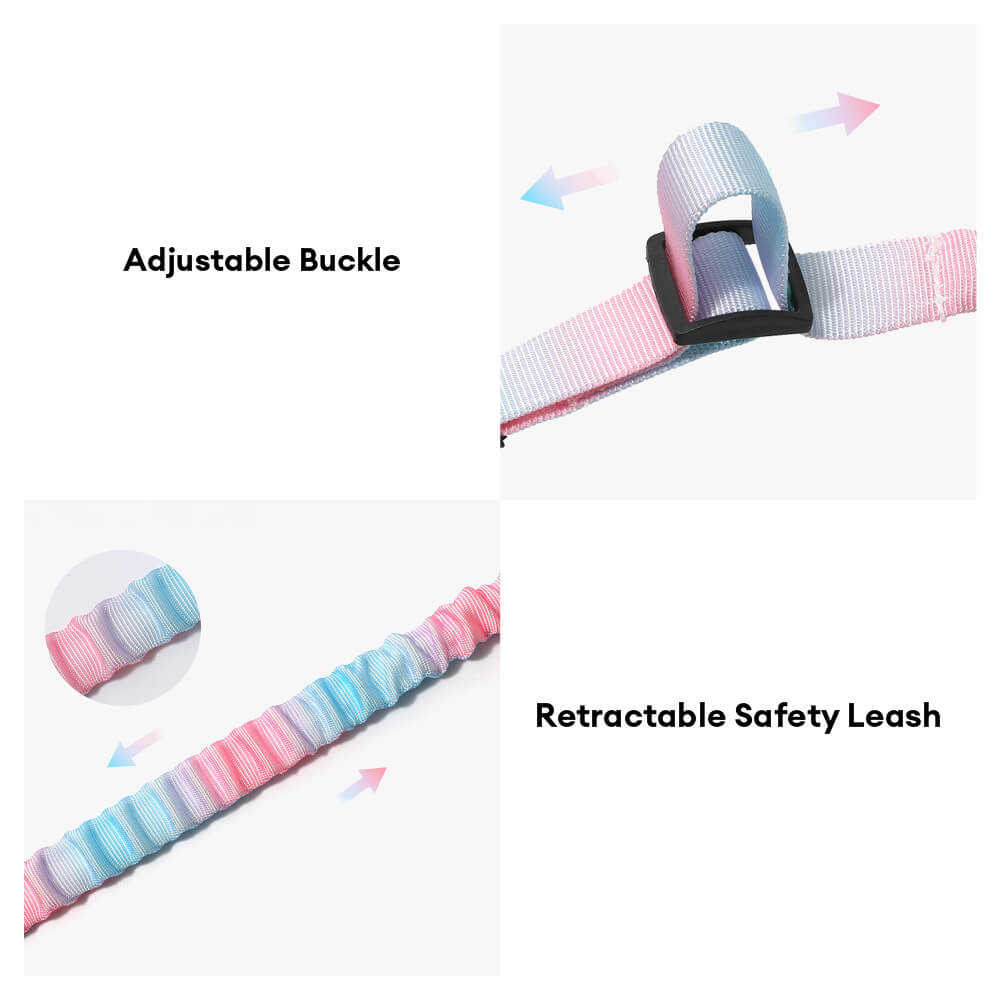 Ceinture de sécurité pour animaux avec amorti élastique dégradé