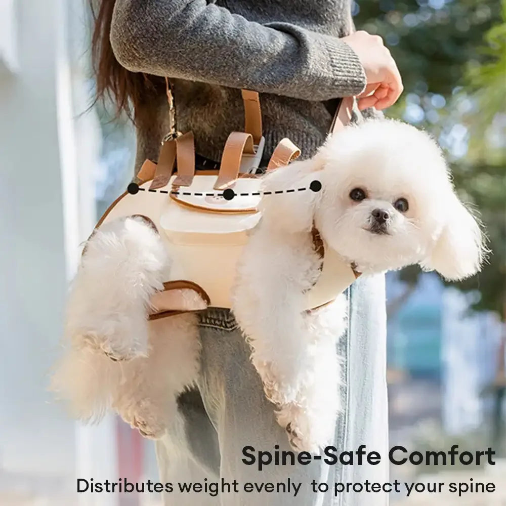 Sac à dos pour petits chiens de transport croisé portable et multifonctionnel