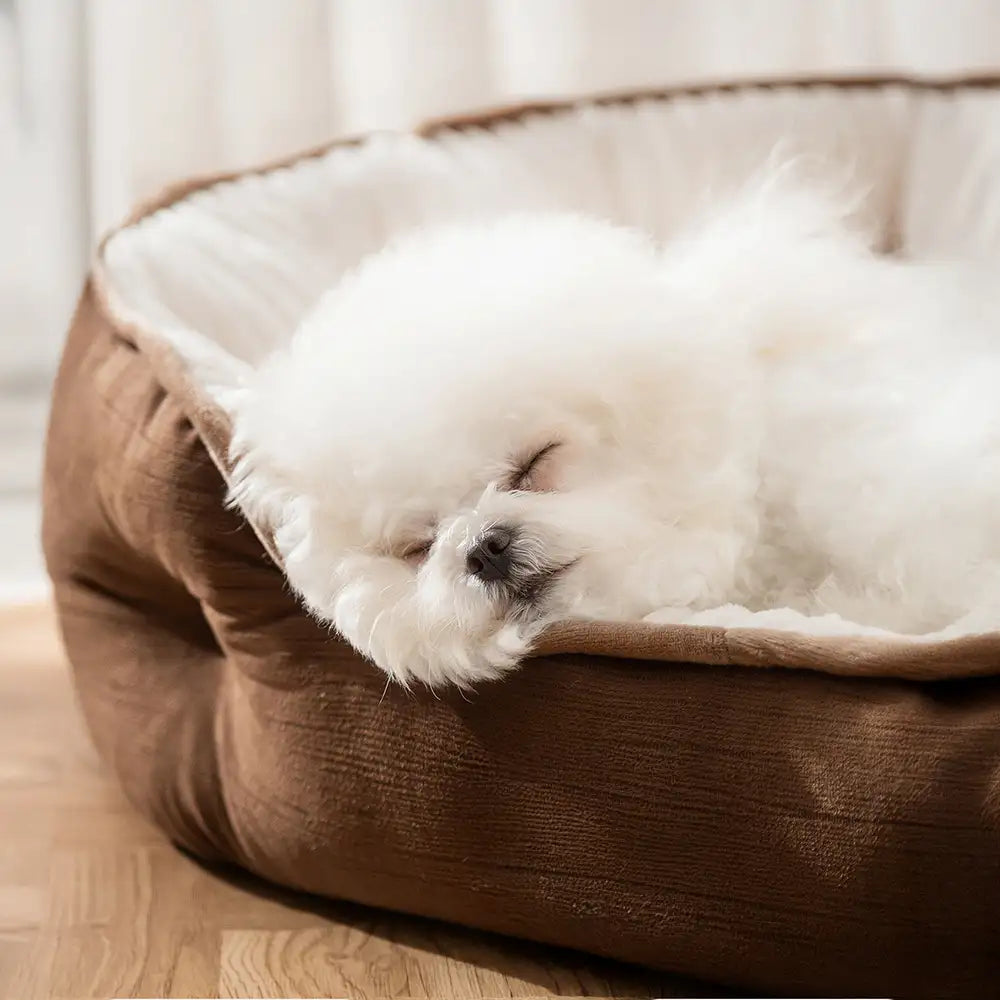 Lit pour chien rond en peluche chaud et confortable pour un sommeil douillet
