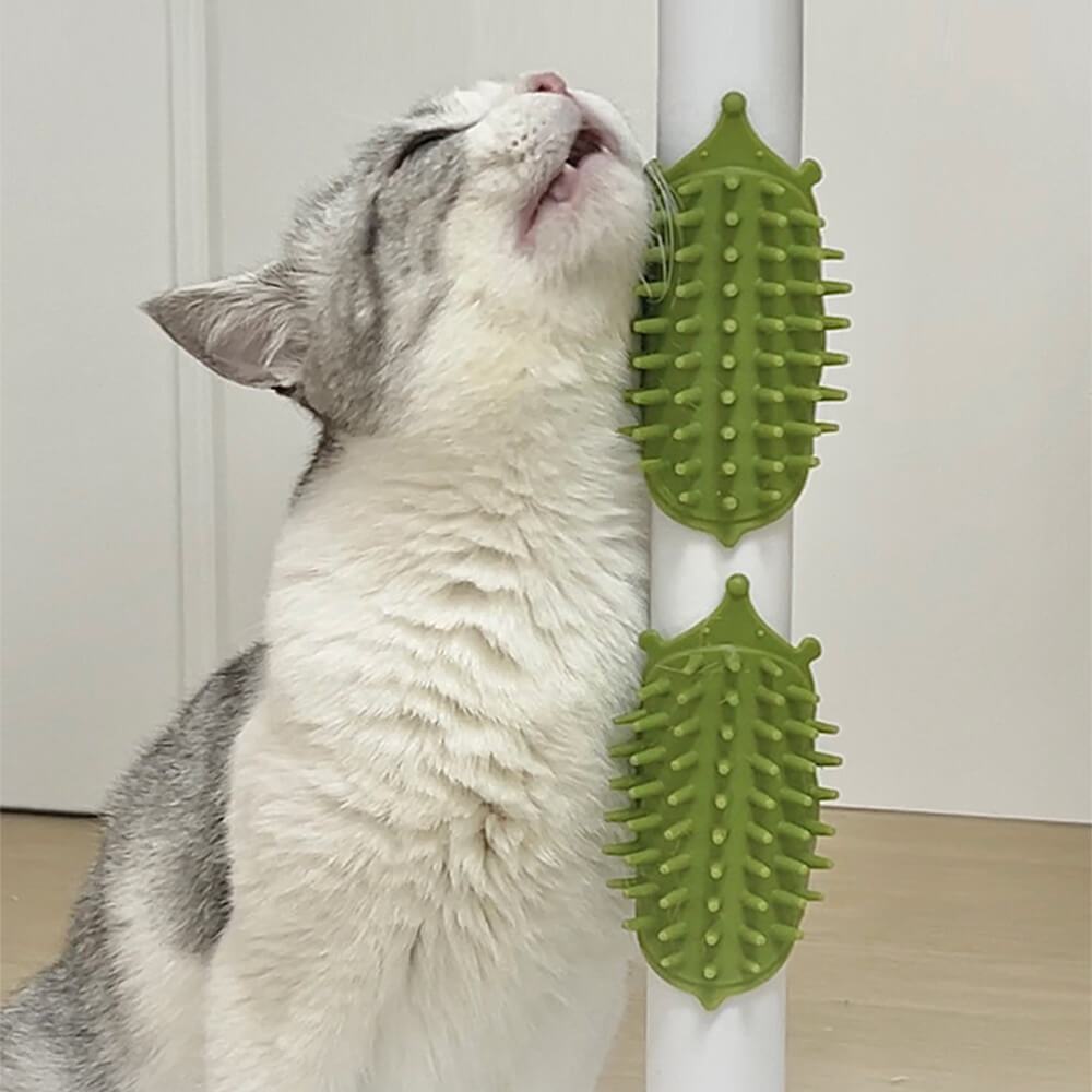 Brosse de massage pour animaux de compagnie avec pieds en caoutchouc autonettoyants