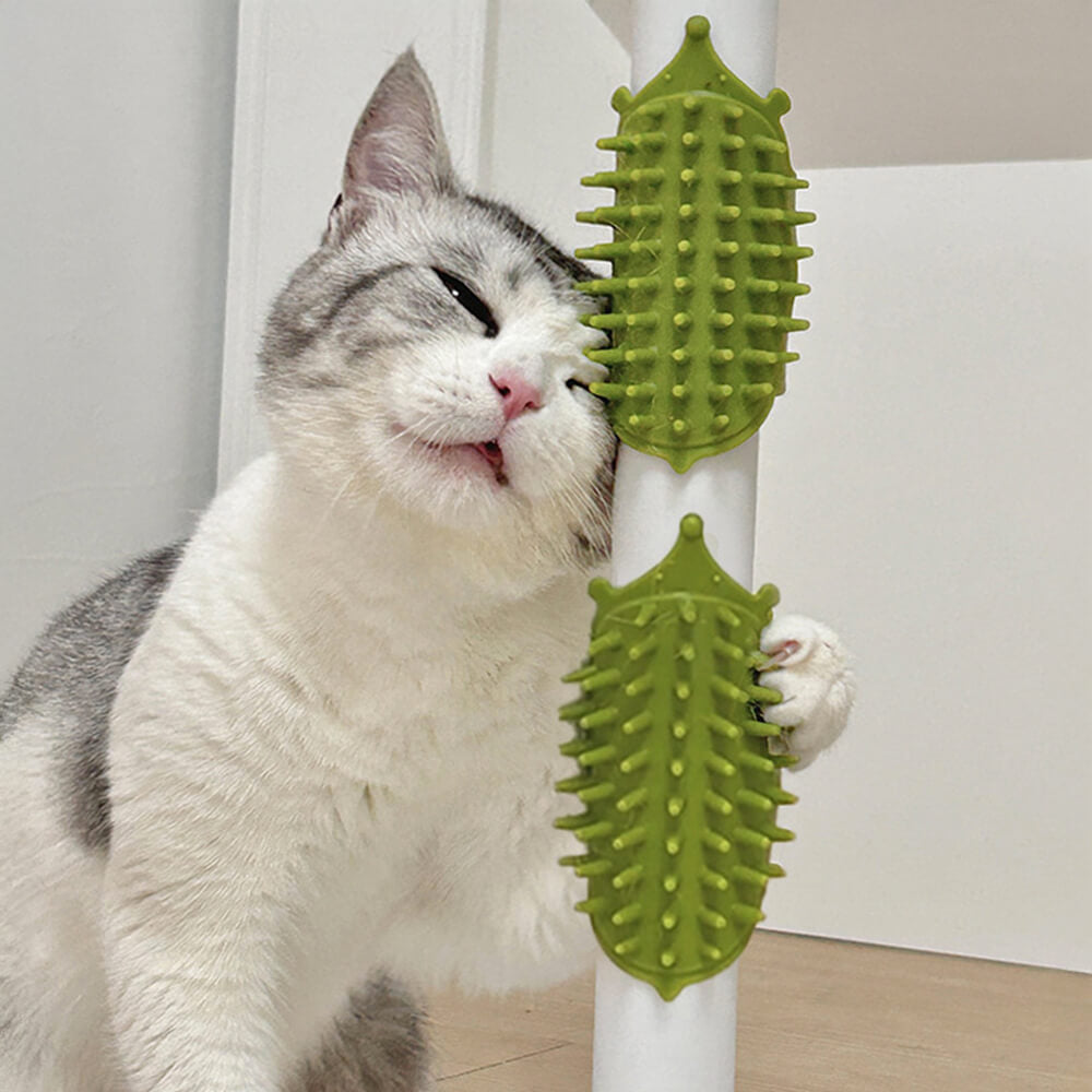 Brosse de massage pour animaux de compagnie avec pieds en caoutchouc autonettoyants