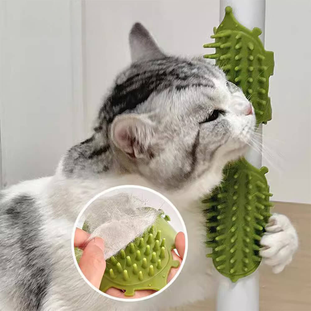 Brosse de massage pour animaux de compagnie avec pieds en caoutchouc autonettoyants