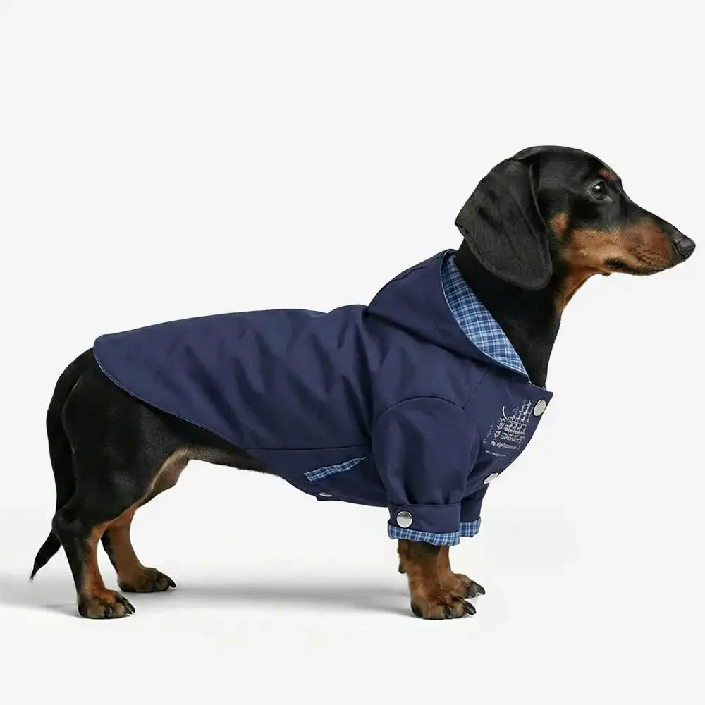 Veste de chien réversible à deux faces élégante, coupe-vent, pour l'extérieur.