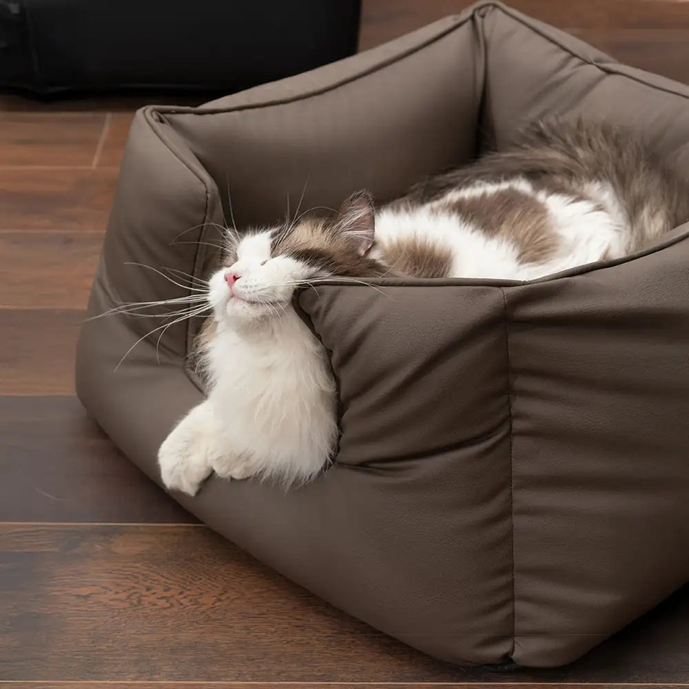 Lit pour chien carré en tissu technologique apaisant imperméable et résistant aux rayures