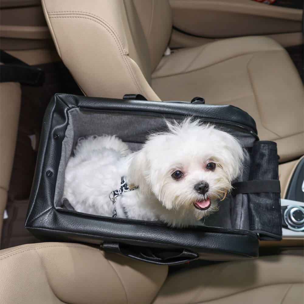 Siège auto détachable surélevé pour petits chiens console centrale
