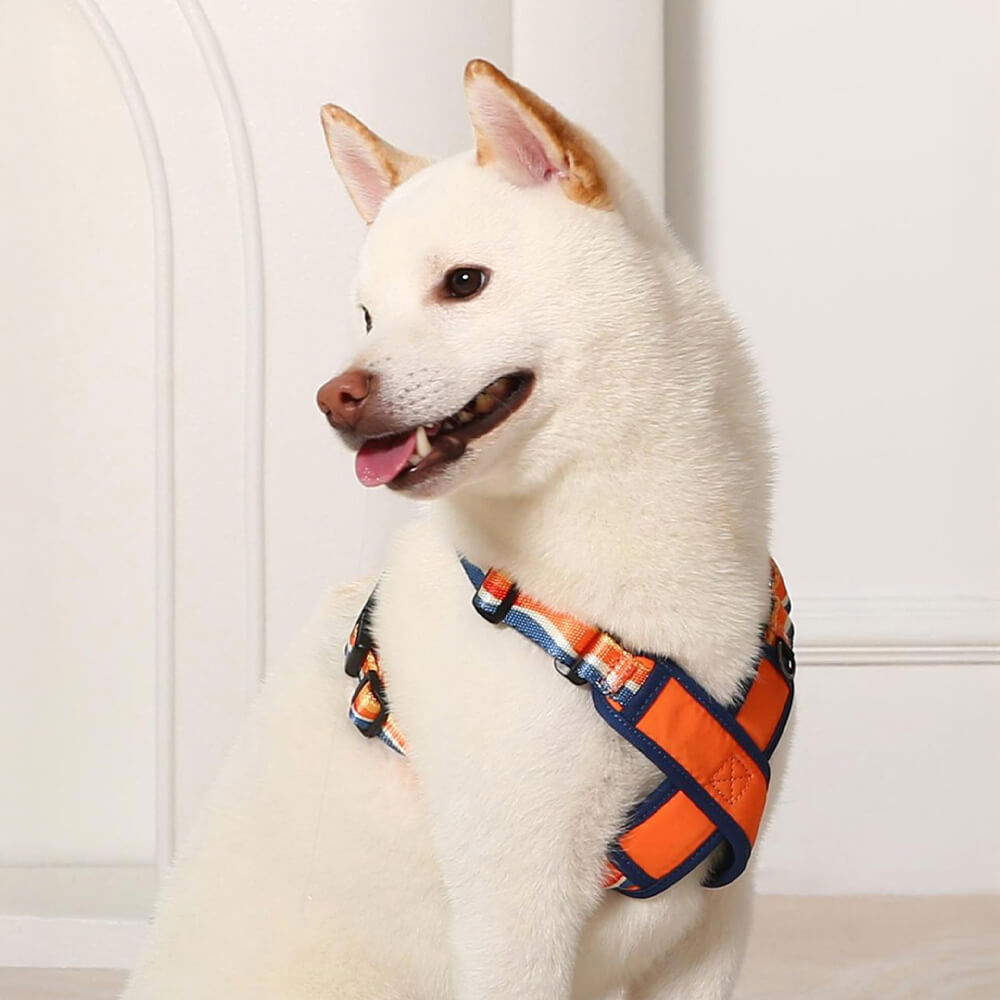 Harnais réglable en X et laisse pour chien - Résistant