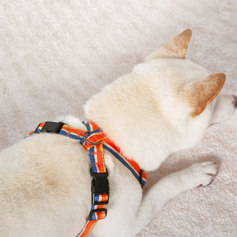 Harnais réglable en X et laisse pour chien - Résistant