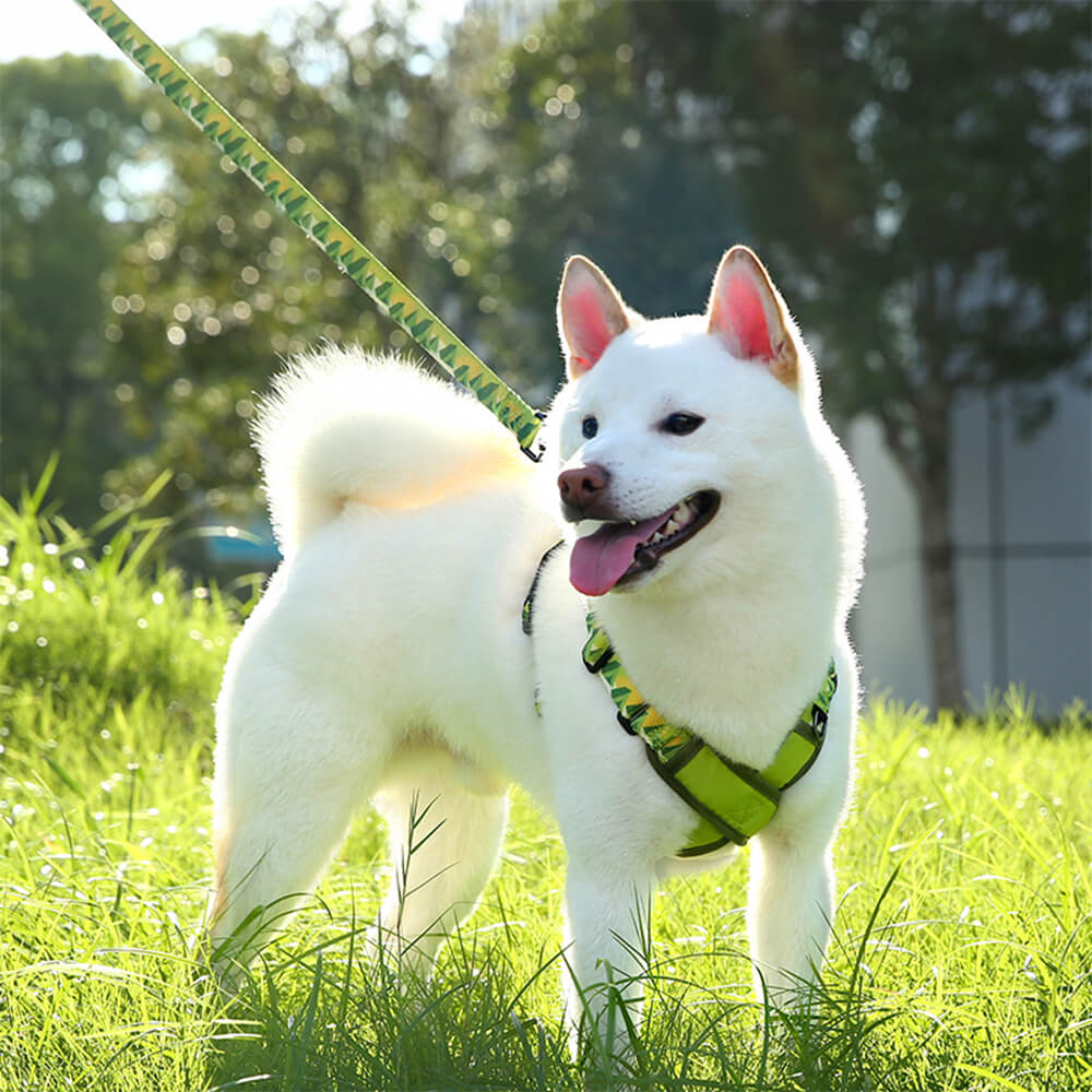 Harnais réglable en X et laisse pour chien - Résistant
