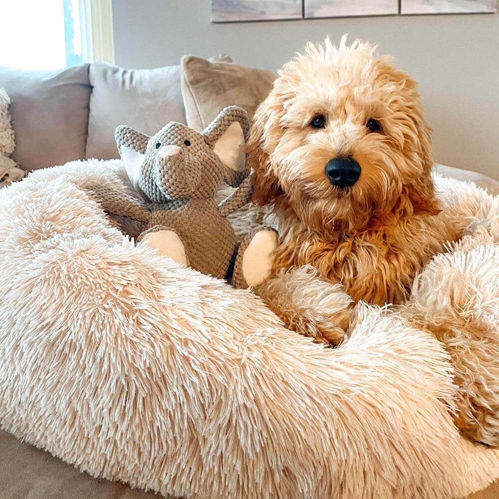 Lit pour Chien - Rond Douillet